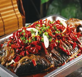 趣多客烤魚產(chǎn)品 創(chuàng)新美味與創(chuàng)業(yè)機遇的完美結(jié)合